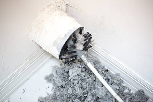 Best Local Air Duct Cleaning Services  in Wilton Manors, FL